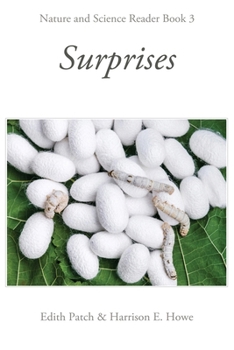 Paperback Surprises Book