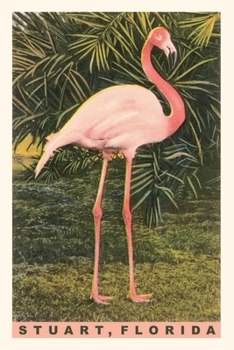 Paperback Vintage Journal Flamingo, Stuart, Florida Book