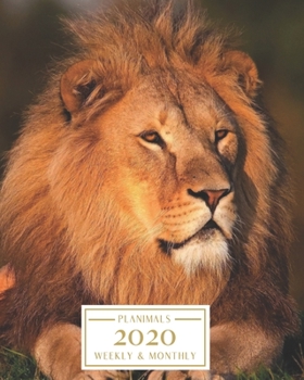 Paperback 2020: Weekly and Monthly Planner/Calendar Jan 2020 - Dec 2020 Fierce Lion Book