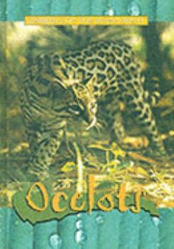 Hardcover Ocelots (Animals of the Rainforest) Book