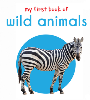 Board book My First Book of Wild Animals Book