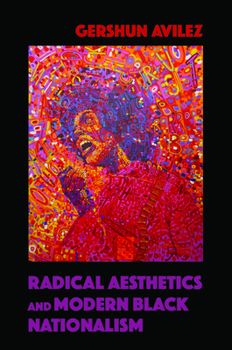 Paperback Radical Aesthetics and Modern Black Nationalism Book