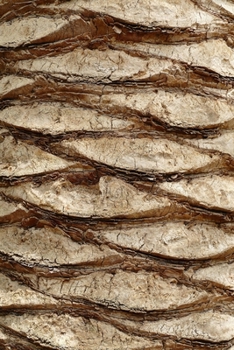 Palm Tree Trunk Journal: 150 Page Lined Notebook/Diary