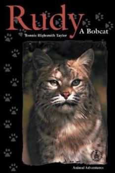 Hardcover Rudy: A Bobcat Book