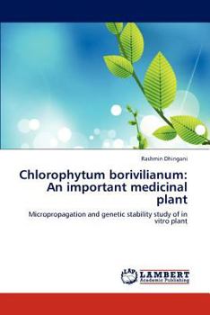 Paperback Chlorophytum borivilianum: An important medicinal plant Book
