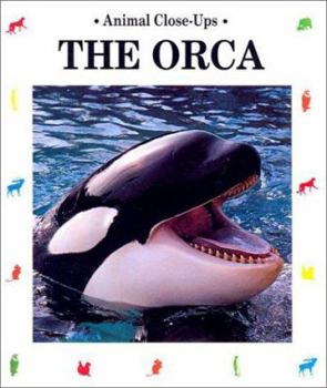 Library Binding The Orca: Admiral of the Sea Book