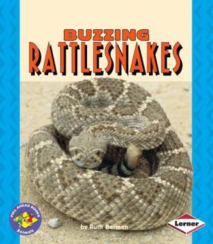Paperback Buzzing Rattlesnakes Book