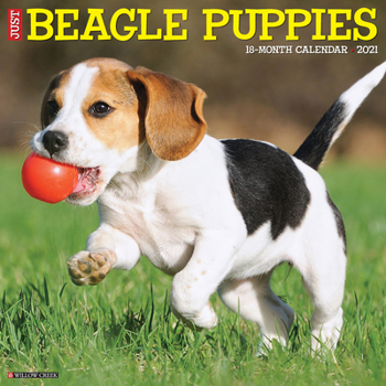Calendar Just Beagle Puppies 2021 Wall Calendar (Dog Breed Calendar) Book