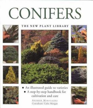 Paperback Conifers: The Little Plant Library Series Book