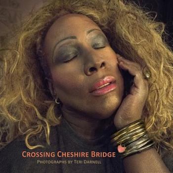 Paperback Crossing Cheshire Bridge: Photographs by Teri Darnell Book