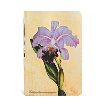 Diary Paperblanks Brazilian Orchid Painted Botanicals Hardcover Journals Mini Unlined Elastic Band 176 Pg 85 GSM Book
