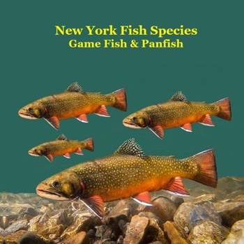 New York Game Fish and Panfish Species Kids Book: Great Book About the Different Types of Fish in New York