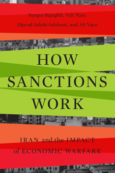 Paperback How Sanctions Work: Iran and the Impact of Economic Warfare Book