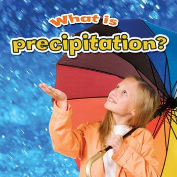 Paperback What Is Precipitation? Book