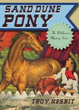 Sand Dune Pony - Book #1 of the Wilderness Mysteries