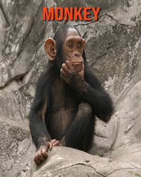 Monkey: Amazing Facts about Monkey