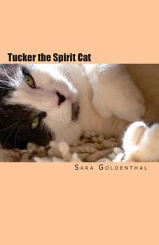 Paperback Tucker the Spirit Cat: A Meditation on Love and Hope for Anyone Grieving the Loss of an Animal Friend Book