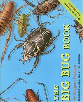 Paperback The Big Bug Book