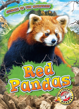 Red Pandas - Book  of the Scholastic: Blastoff!  Animals of the Mountains