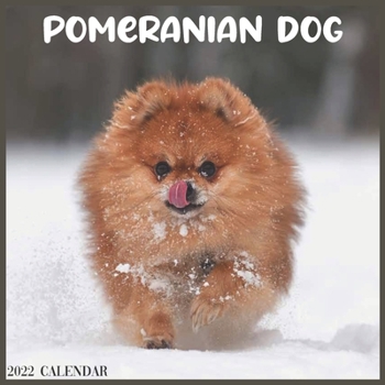 Pomeranian Dog 2022 Calendar: Official Pomeranian Dog Breed 2022 Calendar 16 Months