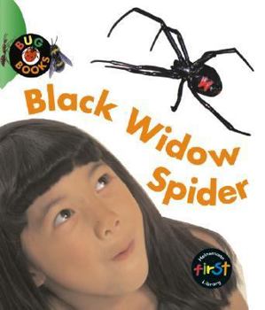 Hardcover Black Widow Spider Book