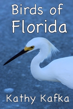 Paperback Birds of Florida Book