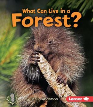 What Can Live in a Forest? - Book  of the First Step Nonfiction: Animal Adaptations