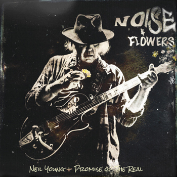 Vinyl Noise And Flowers Book