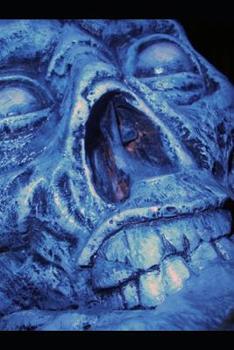 Paperback Zombie Diary Book