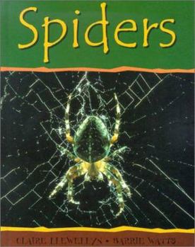 Unknown Binding Spiders (Minibeasts) Book