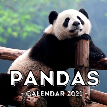 Pandas 2021 Calendar: Cute Gift Idea For Panda Lovers Men And Women