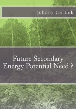 Paperback Future Secondary Energy Potential Need ? Book