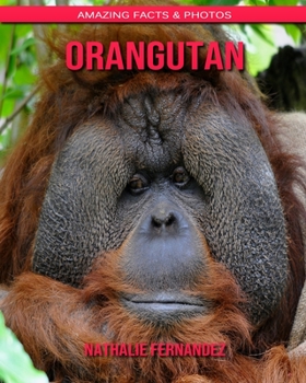 Orangutan: Amazing Facts & Photos