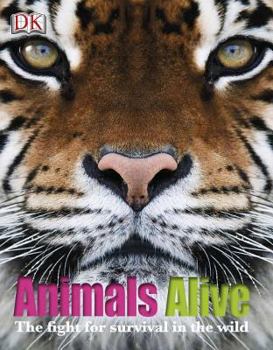 Hardcover Animals Alive Book