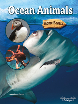 Paperback Ocean Animals Book