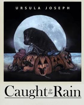 Paperback Caught in the Rain Book