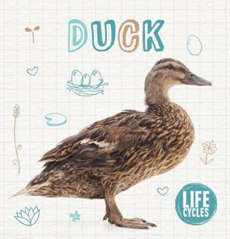 Hardcover Duck (Life Cycles) Book