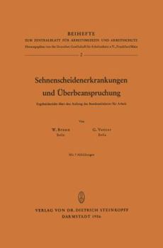 Paperback Sehnenscheidenerkrankungen Und Überbeanspruchung: Ergebnisbericht Über Den Auftrag Des Bundesministers Für Arbeit [German] Book