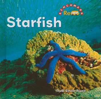 Starfish - Book  of the Benchmark Rebus:  Ocean Life