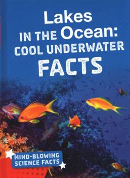 Hardcover Lakes in the Ocean: Cool Underwater Facts (Bright Idea Books: Mind-Blowing Science Facts) Book