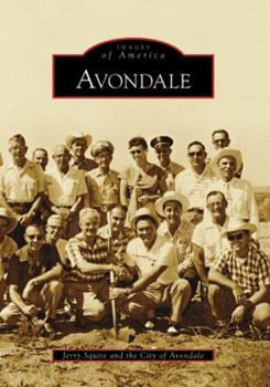 Paperback Avondale Book