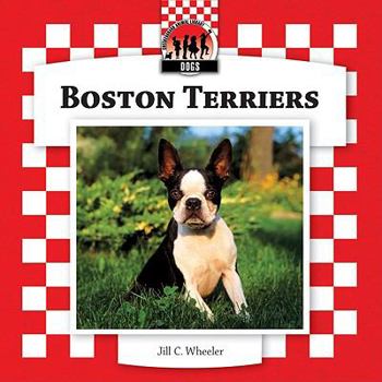 Library Binding Boston Terriers Book