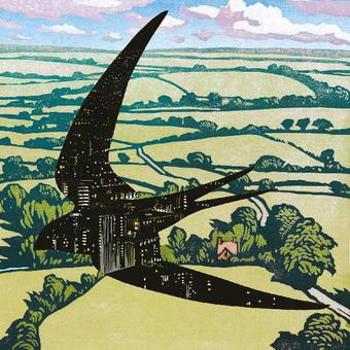 Vinyl Sleep On The Wing Book