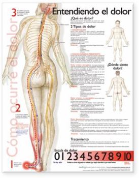 Hardcover Understanding Pain Anatomical Chart in Spanish [Spanish] Book