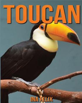 Paperback Toucan: Children Book of Fun Facts & Amazing Photos on Animals in Nature - A Wonderful Toucan Book for Kids aged 3-7 Book