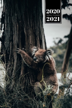 Koala Bear Rainforest Week Planner Weekly Organizer Calendar 2020 / 2021 - Climbing on Tree: Cute Wildlife Animal Pet Bullet Journal Notebook Diary in 6” x 9” Inch Pocket Size