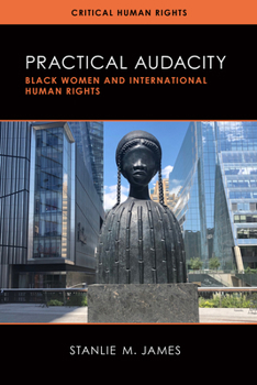 Paperback Practical Audacity: Black Women and International Human Rights Book