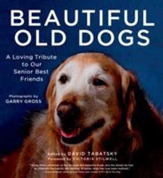 Hardcover Beautiful Old Dogs: A Loving Tribute to Our Senior Best Friends Book
