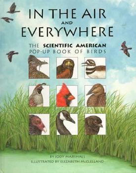 Hardcover In the Air and Everywhere: The Scientific American Pop-Up Book of Birds Book