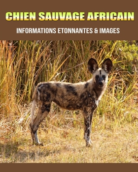 Chien Sauvage Africain: Informations Etonnantes & Images